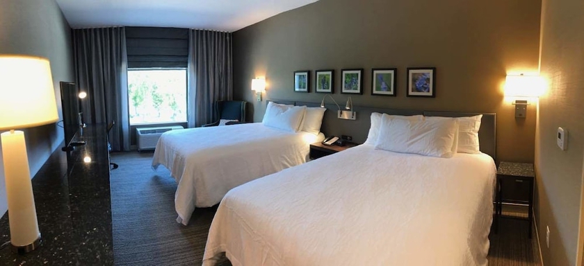 Imagen de la habitación del Hotel Hilton Garden Inn Austin Airport. Foto 6