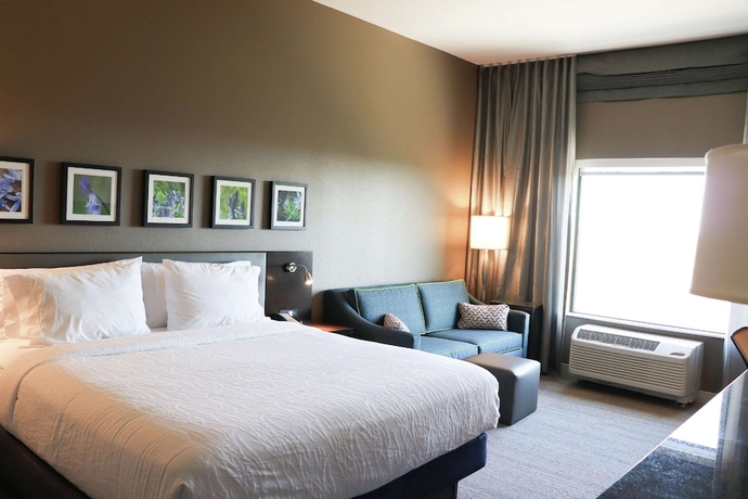 Imagen de la habitación del Hotel Hilton Garden Inn Austin Airport. Foto 8