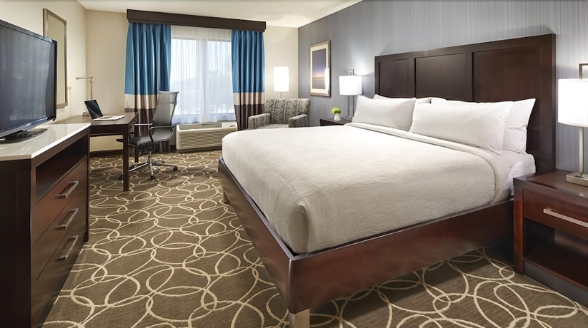 Imagen de la habitación del Hotel Hilton Garden Inn Austin Airport. Foto 9