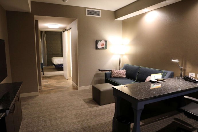 Imagen de la habitación del Hotel Hilton Garden Inn Austin Airport. Foto 10