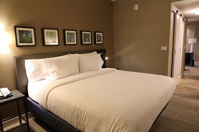 Imagen de la habitación del Hotel Hilton Garden Inn Austin Airport. Foto 11