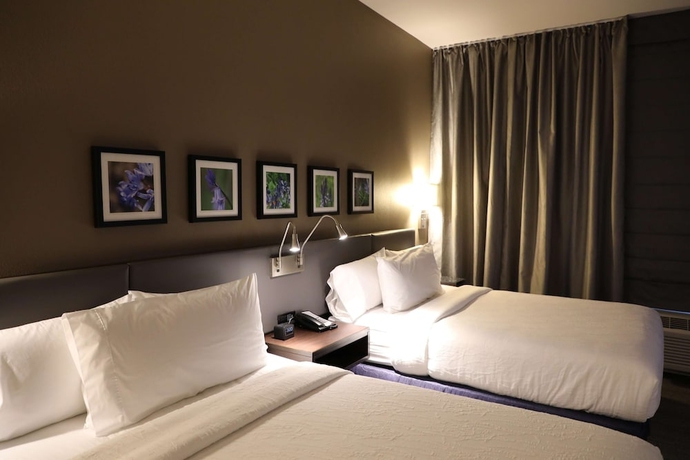 Imagen de la habitación del Hotel Hilton Garden Inn Austin Airport. Foto 12