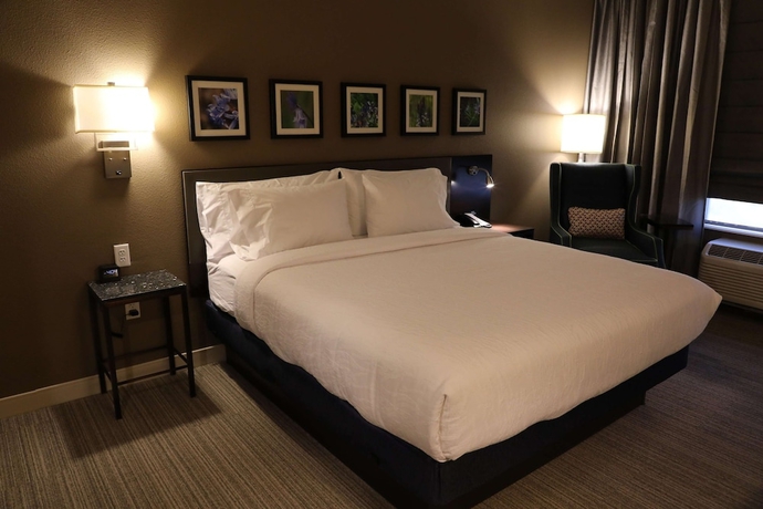 Imagen de la habitación del Hotel Hilton Garden Inn Austin Airport. Foto 14