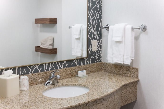 Imagen de la habitación del Hotel Hilton Garden Inn Austin North. Foto 10