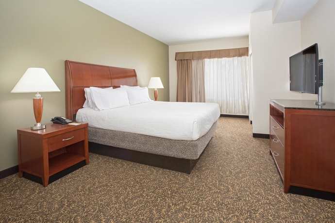 Imagen de la habitación del Hotel Hilton Garden Inn Avondale. Foto 3