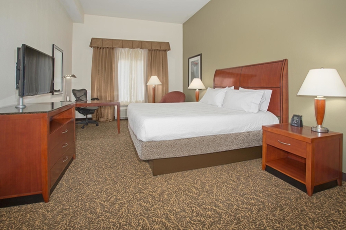 Imagen de la habitación del Hotel Hilton Garden Inn Avondale. Foto 4