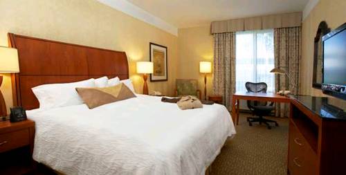 Imagen de la habitación del Hotel Hilton Garden Inn Bend. Foto 8