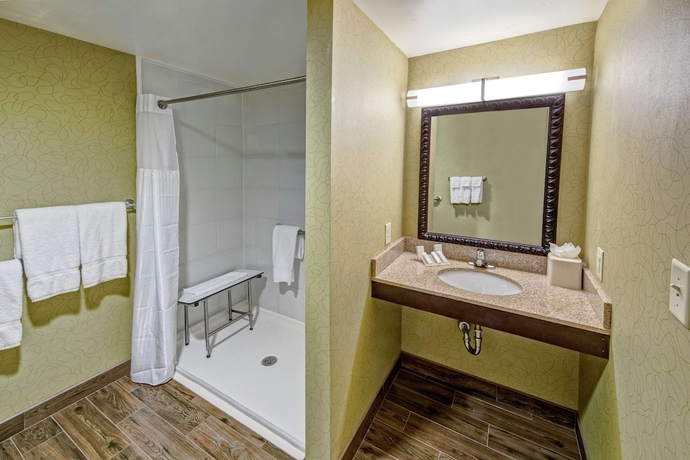 Imagen de la habitación del Hotel Hilton Garden Inn Birmingham Se/liberty Park. Foto 7