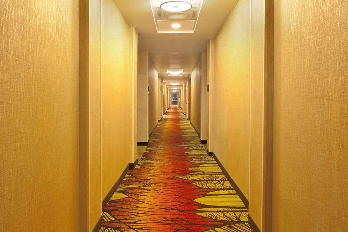 Imagen de los interiores del Hotel Hilton Garden Inn Birmingham Se/liberty Park. Foto 15