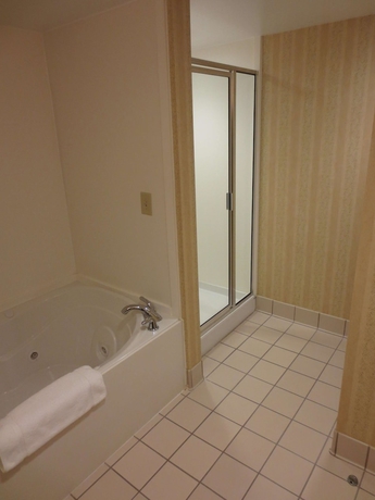 Imagen de la habitación del Hotel Hilton Garden Inn Birmingham Se/liberty Park. Foto 14