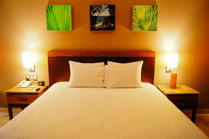 Imagen de la habitación del Hotel Hilton Garden Inn Boca Del Rio Veracruz. Foto 3