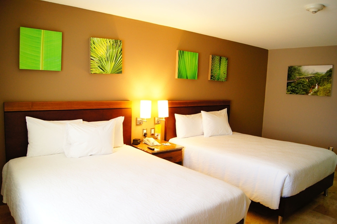 Imagen de la habitación del Hotel Hilton Garden Inn Boca Del Rio Veracruz. Foto 9