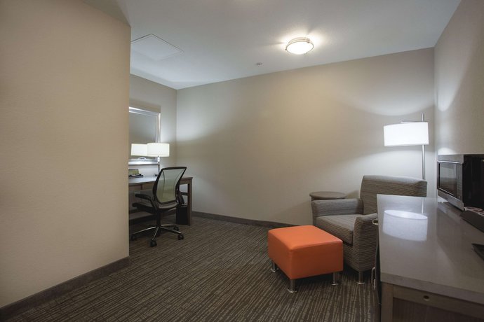 Imagen de la habitación del Hotel Hilton Garden Inn Bolingbrook I-55. Foto 4