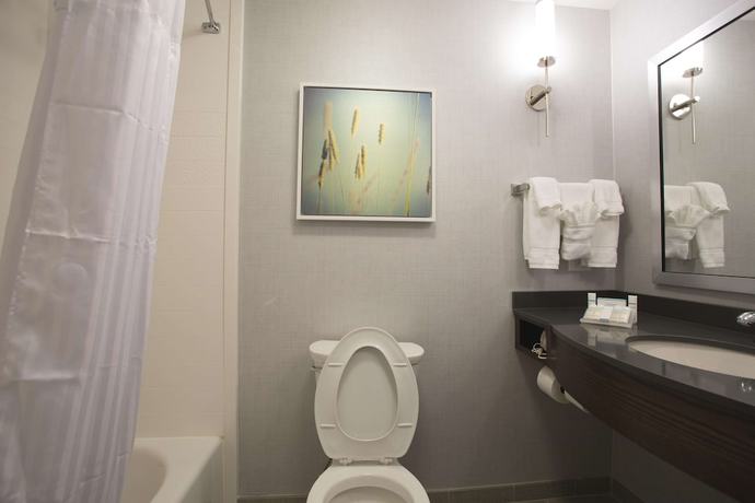Imagen de la habitación del Hotel Hilton Garden Inn Bolingbrook I-55. Foto 5