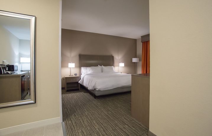 Imagen de la habitación del Hotel Hilton Garden Inn Bolingbrook I-55. Foto 7