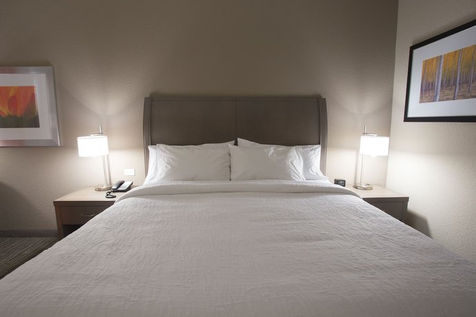 Imagen de la habitación del Hotel Hilton Garden Inn Bolingbrook I-55. Foto 8