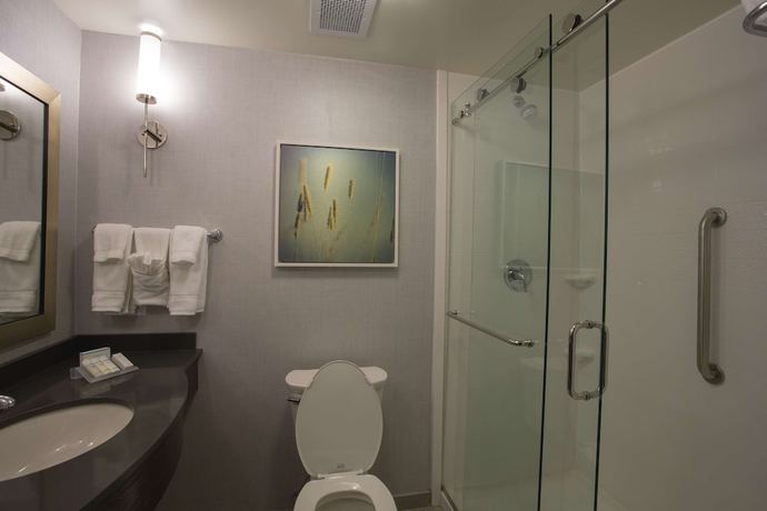 Imagen de la habitación del Hotel Hilton Garden Inn Bolingbrook I-55. Foto 10