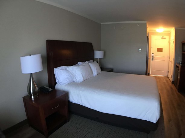 Imagen de la habitación del Hotel Hilton Garden Inn Bowling Green. Foto 3