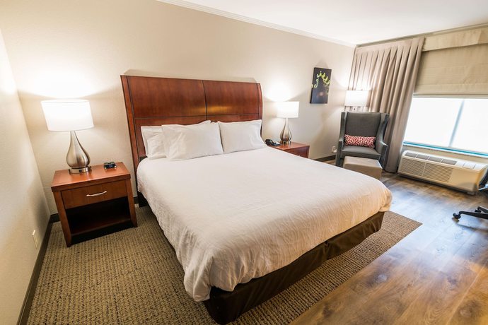 Imagen de la habitación del Hotel Hilton Garden Inn Bowling Green. Foto 6