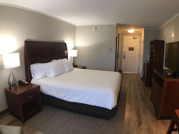Imagen de la habitación del Hotel Hilton Garden Inn Bowling Green. Foto 7