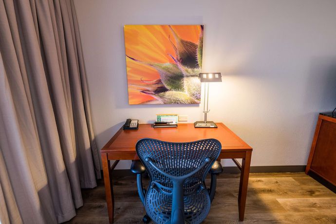 Imagen de la habitación del Hotel Hilton Garden Inn Bowling Green. Foto 8