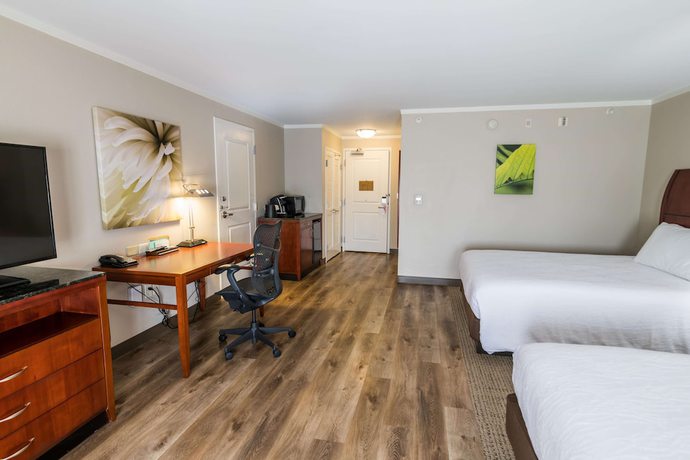 Imagen de la habitación del Hotel Hilton Garden Inn Bowling Green. Foto 11