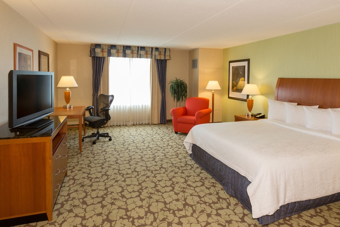 Imagen de la habitación del Hotel Hilton Garden Inn Buffalo Airport. Foto 6