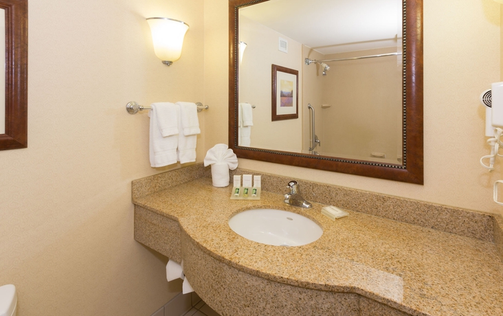Imagen de la habitación del Hotel Hilton Garden Inn Buffalo Airport. Foto 11
