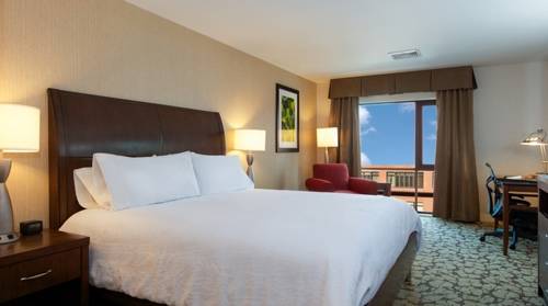 Imagen de la habitación del Hotel Hilton Garden Inn Burlington Downtown. Foto 3