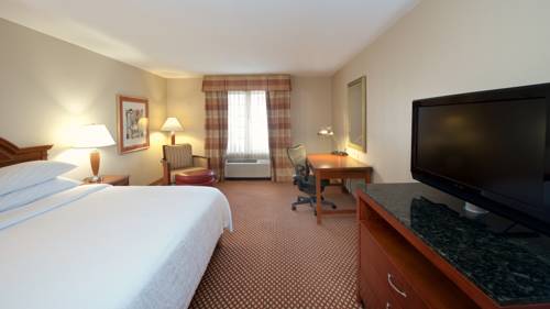 Imagen de la habitación del Hotel Hilton Garden Inn Bwi Airport. Foto 1