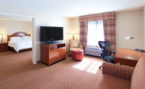 Imagen de la habitación del Hotel Hilton Garden Inn Bwi Airport. Foto 2