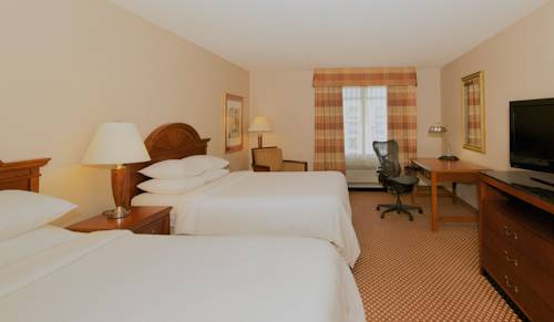 Imagen de la habitación del Hotel Hilton Garden Inn Bwi Airport. Foto 4