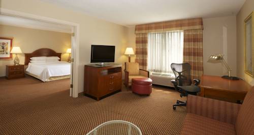Imagen de la habitación del Hotel Hilton Garden Inn Bwi Airport. Foto 6