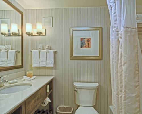 Imagen de la habitación del Hotel Hilton Garden Inn By Hilton Mount Laurel. Foto 6