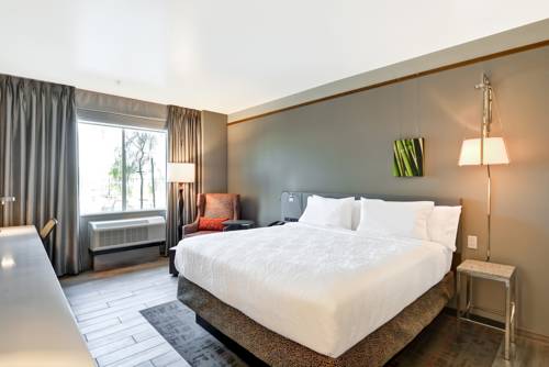 Imagen de la habitación del Hotel Hilton Garden Inn By Hilton Phoenix/tempe Asu Area. Foto 3