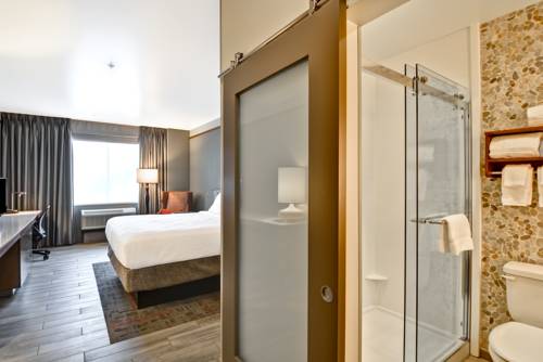 Imagen de la habitación del Hotel Hilton Garden Inn By Hilton Phoenix/tempe Asu Area. Foto 5