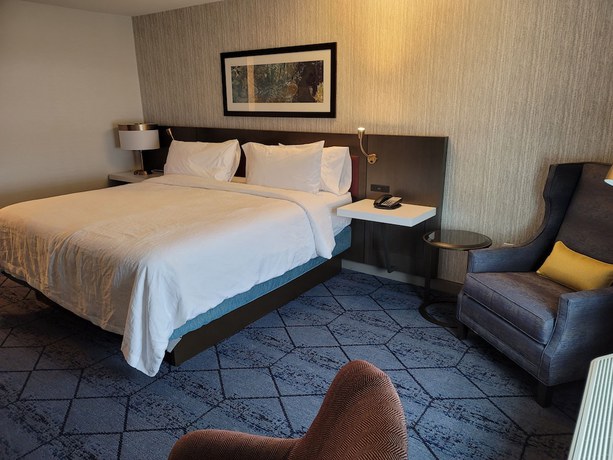 Imagen de la habitación del Hotel Hilton Garden Inn Cedar Rapids. Foto 3