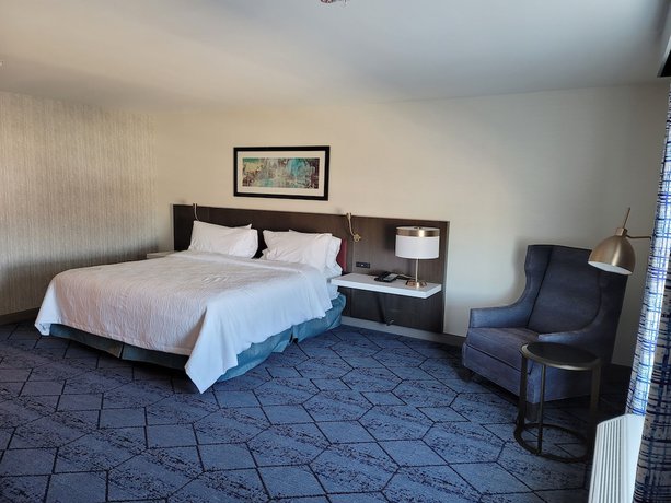 Imagen de la habitación del Hotel Hilton Garden Inn Cedar Rapids. Foto 4