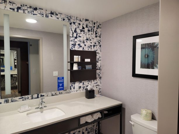 Imagen de la habitación del Hotel Hilton Garden Inn Cedar Rapids. Foto 7