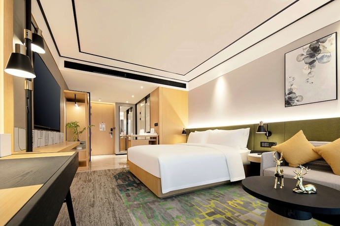 Imagen de la habitación del Hotel Hilton Garden Inn Changsha Yuelu. Foto 7