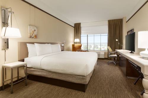 Imagen de la habitación del Hotel Hilton Garden Inn Charlotte Southpark. Foto 6