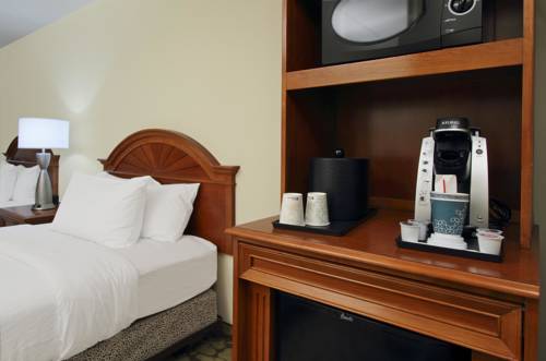 Imagen de la habitación del Hotel Hilton Garden Inn Chesapeake/greenbrier. Foto 5