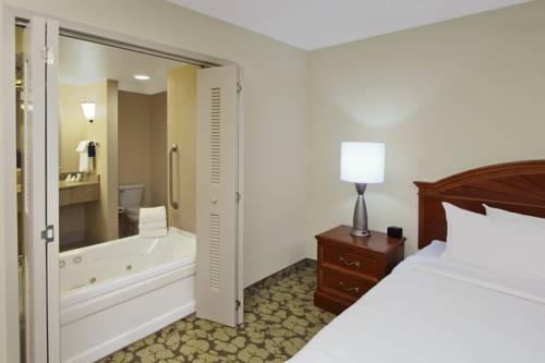 Imagen de la habitación del Hotel Hilton Garden Inn Chesapeake/greenbrier. Foto 8
