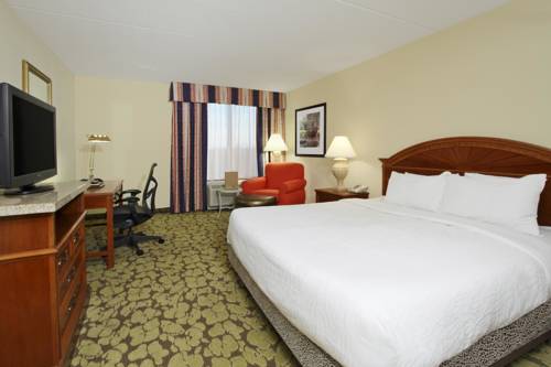 Imagen de la habitación del Hotel Hilton Garden Inn Chesapeake/greenbrier. Foto 9