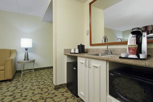 Imagen de la habitación del Hotel Hilton Garden Inn Chesapeake/greenbrier. Foto 10
