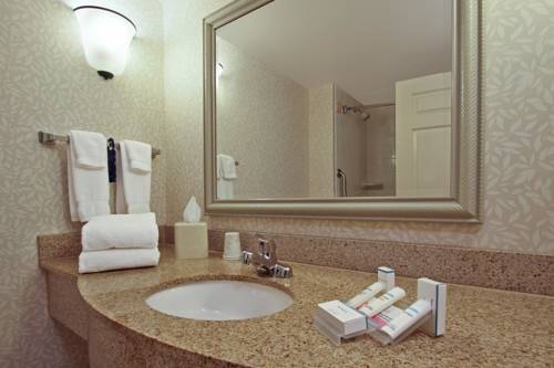 Imagen de la habitación del Hotel Hilton Garden Inn Chesapeake/greenbrier. Foto 11