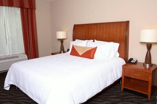 Imagen de la habitación del Hotel Hilton Garden Inn Chesapeake/suffolk. Foto 2