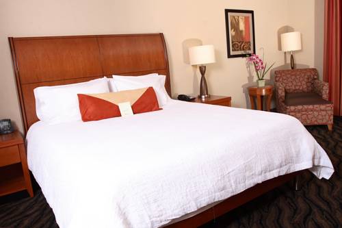 Imagen de la habitación del Hotel Hilton Garden Inn Chesapeake/suffolk. Foto 3