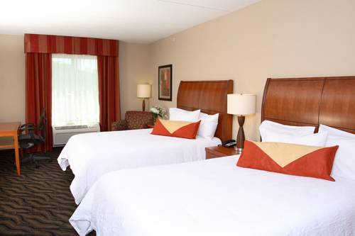 Imagen de la habitación del Hotel Hilton Garden Inn Chesapeake/suffolk. Foto 5