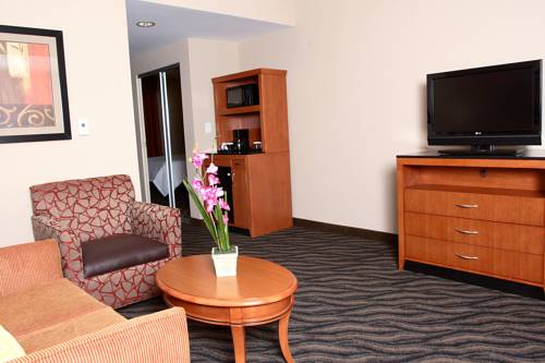 Imagen de la habitación del Hotel Hilton Garden Inn Chesapeake/suffolk. Foto 6